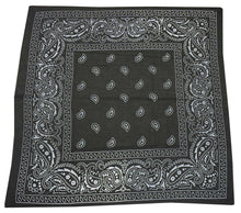 Load image into Gallery viewer, bandana scarf: Black