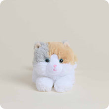 Load image into Gallery viewer, Calico Cat Warmies Junior