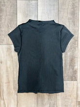 Load image into Gallery viewer, Birds in Flight