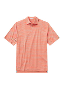 Cloud Polo Brookline Stripe