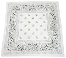Load image into Gallery viewer, bandana scarf: White