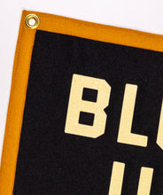 Load image into Gallery viewer, Blow Up Your TV Camp Flag