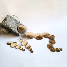 Load image into Gallery viewer, Brass disc hoop: Earrings